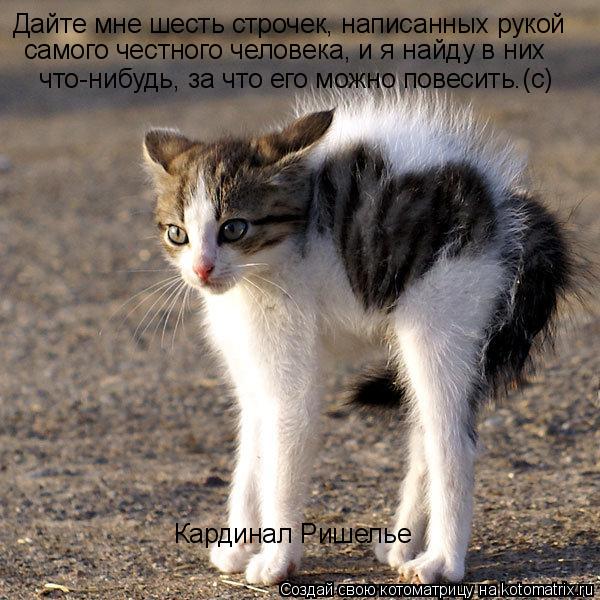 Дайте мне шесть строчек, написанных рукой самого честного человека, и я найду в них что-нибудь, за... Котоматрица: Дайте мне шесть строчек, написанных рукой самого честного человека, и я найду в них что-нибудь, за что его можно повесить.(с) Кардинал Ришел