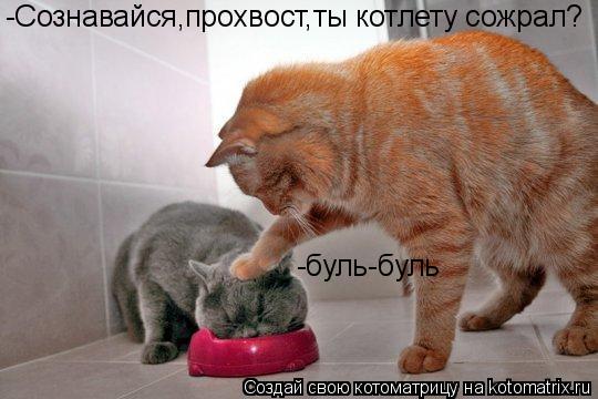 -Cознавайся,прохвост,ты котлету сожрал? -буль-буль... Котоматрица: -Cознавайся,прохвост,ты котлету сожрал? -буль-буль