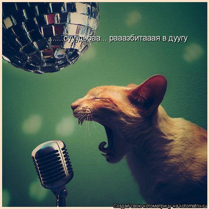 .......сууудьбаа... рааазбитааая в дуугу... Котоматрица: .......сууудьбаа... рааазбитааая в дуугу