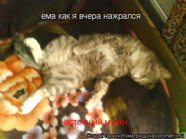ема как я вчера нажрался настоящий мужик... Котоматрица: ема как я вчера нажрался настоящий мужик