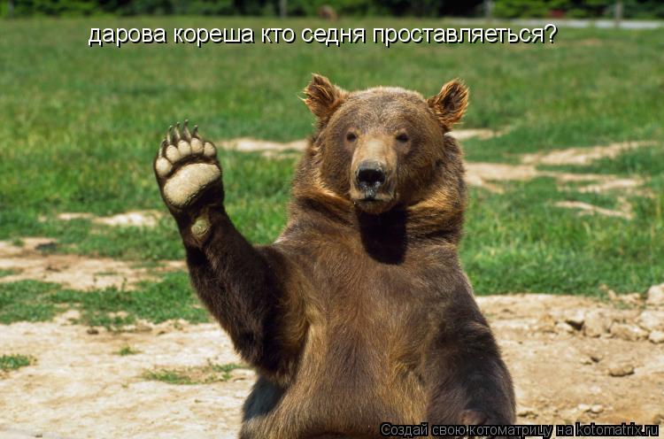 дарова кореша кто седня проставляеться?... Котоматрица: дарова кореша кто седня проставляеться?