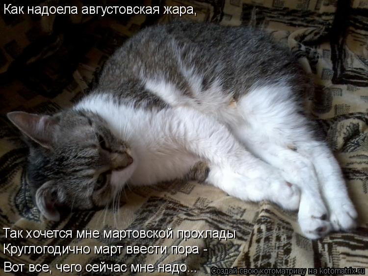 Как надоела августовская жара, Так хочется мне мартовской прохлады Круглогодично март ввести пора - В... Котоматрица: Как надоела августовская жара, Так хочется мне мартовской прохлады Круглогодично март ввести пора - Вот все, чего сейчас мне надо...