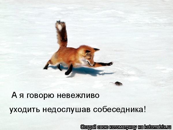 А я говорю невежливо уходить недослушав собеседника!... Котоматрица: А я говорю невежливо уходить недослушав собеседника!
