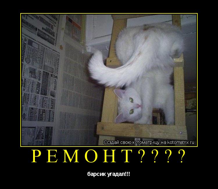 РЕМОНТ???? барсик угадал!!!... Котоматрица: РЕМОНТ???? барсик угадал!!!