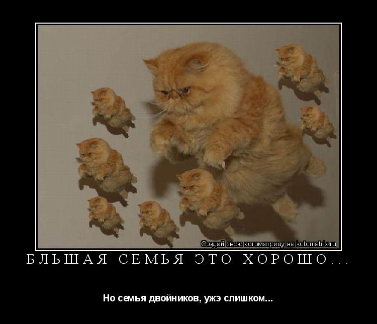 Бльшая семья это хорошо... Но семья двойников, ужэ слишком...... Котоматрица: Бльшая семья это хорошо... Но семья двойников, ужэ слишком...