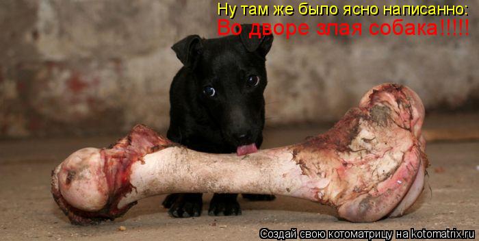 Во дворе злая собака!!!!! Ну там же было ясно написанно:... Котоматрица: Во дворе злая собака!!!!! Ну там же было ясно написанно: