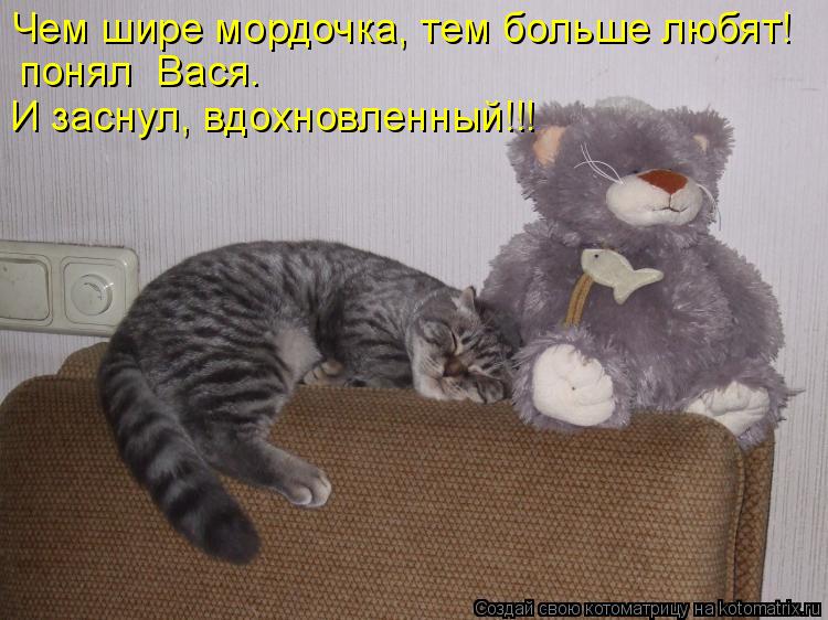 Чем шире мордочка, тем больше любят! понял Вася. И заснул, вдохновленный!!!... Котоматрица: Чем шире мордочка, тем больше любят! понял Вася. И заснул, вдохновленный!!!