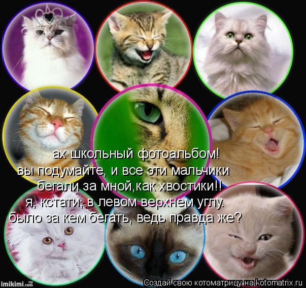 ах школьный фотоальбом! вы подумайте, и все эти мальчики бегали за мной,как хвостики!! я, кстати, в л... Котоматрица: ах школьный фотоальбом! вы подумайте, и все эти мальчики бегали за мной,как хвостики!! я, кстати, в левом верхнем углу. было за кем бегать, вед