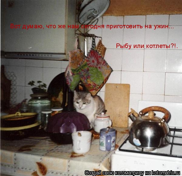 Вот думаю, что же нам сегодня приготовить на ужин... Рыбу или котлеты?!.... Котоматрица: Вот думаю, что же нам сегодня приготовить на ужин... Рыбу или котлеты?!.
