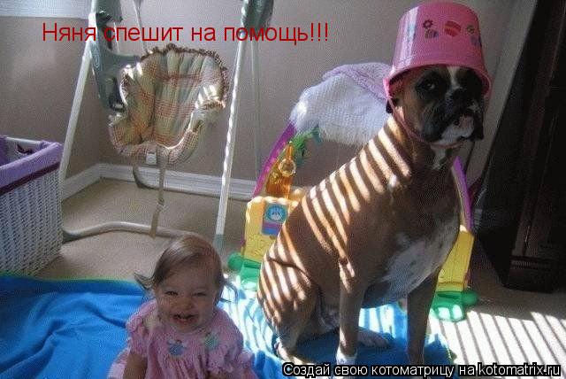Няня спешит на помощь!!!... Котоматрица: Няня спешит на помощь!!!