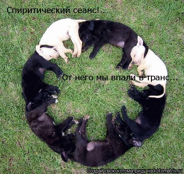 Спиритический сеанс!.. От него мы впали в транс...... Котоматрица: Спиритический сеанс!.. От него мы впали в транс...