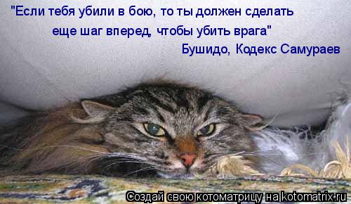 "Если тебя убили в бою, то ты должен сделать еще шаг вперед, чтобы убить врага" Бушидо, Кодекс Самура... Котоматрица: "Если тебя убили в бою, то ты должен сделать еще шаг вперед, чтобы убить врага" Бушидо, Кодекс Самураев