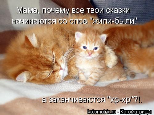 Мама, почему все твои сказки начинаются со слов "жили-были" , а заканчиваются "хр-хр"?!.... Котоматрица: Мама, почему все твои сказки начинаются со слов "жили-были" , а заканчиваются "хр-хр"?!.