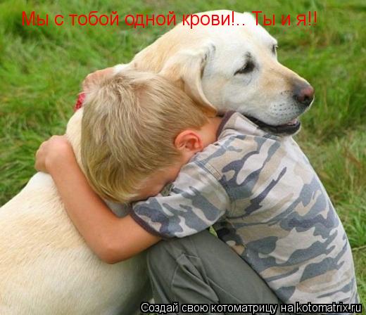 Мы с тобой одной крови!.. Ты и я!!... Котоматрица: Мы с тобой одной крови!.. Ты и я!!