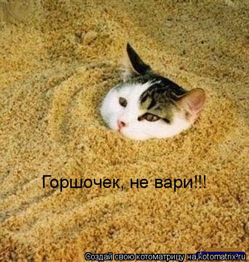 Горшочек, не вари!!!... Котоматрица: Горшочек, не вари!!!