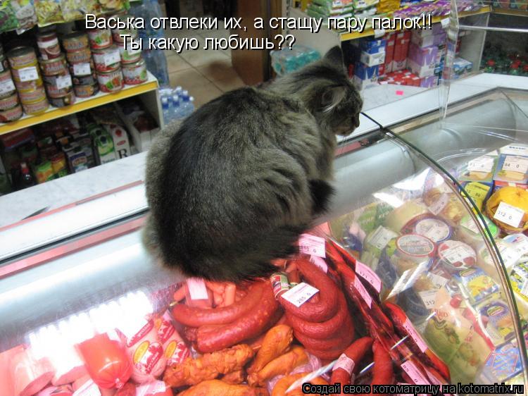 Васька отвлеки их, а стащу пару палок!! Ты какую любишь??... Котоматрица: Васька отвлеки их, а стащу пару палок!! Ты какую любишь??