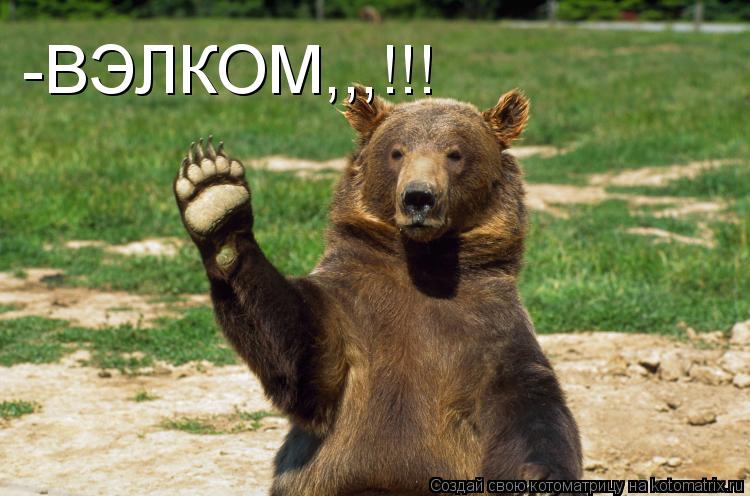 -ВЭЛКОМ,,,!!!... Котоматрица: -ВЭЛКОМ,,,!!!