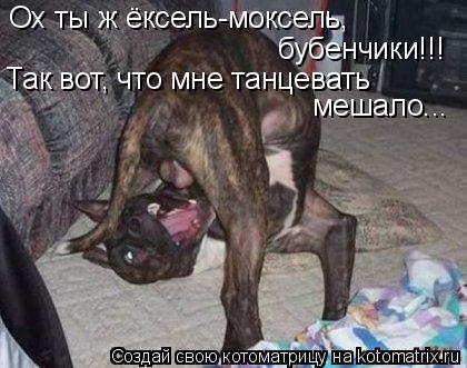 Ох ты ж ёксель-моксель, бубенчики!!! Так вот, что мне танцевать мешало...... Котоматрица: Ох ты ж ёксель-моксель, бубенчики!!! Так вот, что мне танцевать мешало...