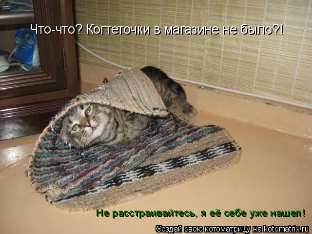 Что-что? Когтеточки в магазине не было?! Не расстраивайтесь, я её себе уже нашел!... Котоматрица: Что-что? Когтеточки в магазине не было?! Не расстраивайтесь, я её себе уже нашел!