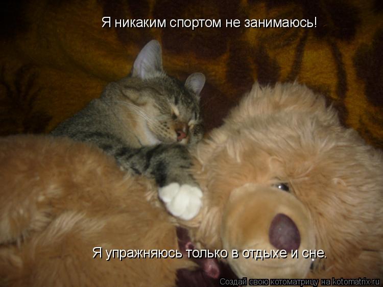 Я никаким спортом не занимаюсь! Я упражняюсь только в отдыхе и сне.... Котоматрица: Я никаким спортом не занимаюсь! Я упражняюсь только в отдыхе и сне.