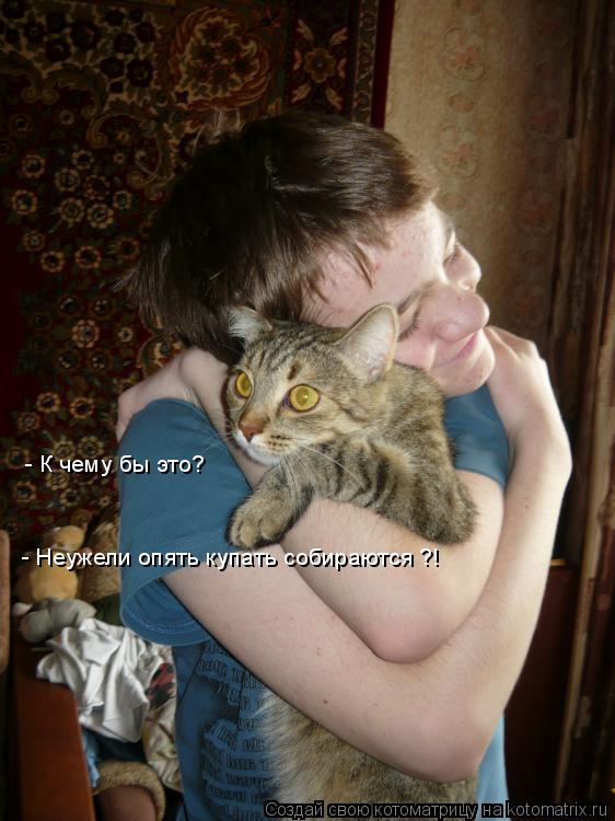 - К чему бы это? - Неужели опять купать собираются ?!... Котоматрица: - К чему бы это? - Неужели опять купать собираются ?!