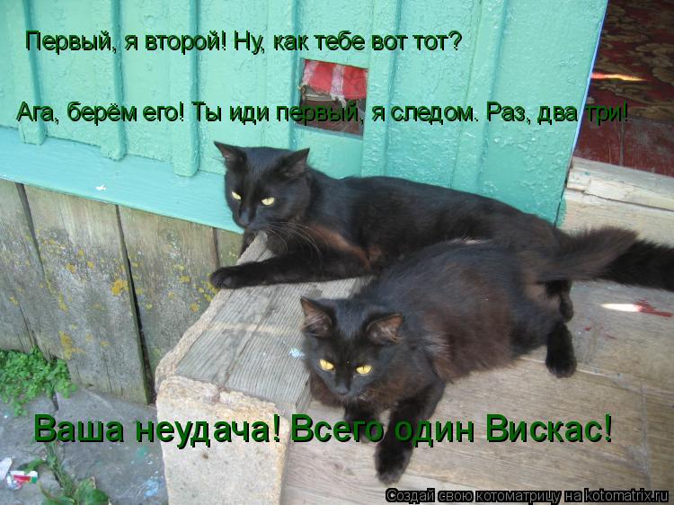 Первый, я второй! Ну, как тебе вот тот? Ага, берём его! Ты иди первый, я следом. Раз, два три! Ваша н... Котоматрица: Первый, я второй! Ну, как тебе вот тот? Ага, берём его! Ты иди первый, я следом. Раз, два три! Ваша неудача! Всего один Вискас!