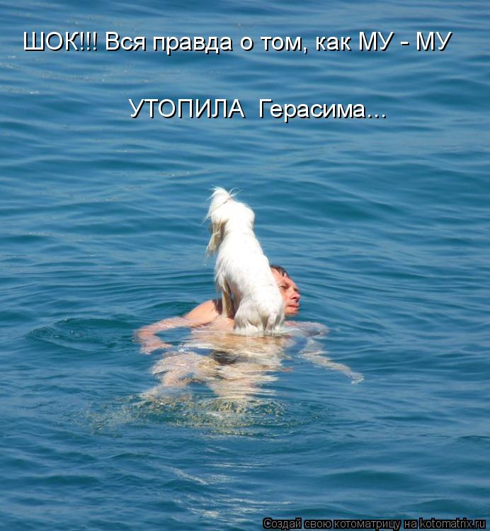 ШОК!!! Вся правда о том, как МУ - МУ УТОПИЛА Герасима...... Котоматрица: ШОК!!! Вся правда о том, как МУ - МУ УТОПИЛА Герасима...