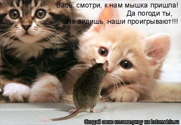 Да погоди ты, Вась, смотри, к нам мышка пришла! Не видишь, наши проигрывают!!!... Котоматрица: Да погоди ты, Вась, смотри, к нам мышка пришла! Не видишь, наши проигрывают!!!
