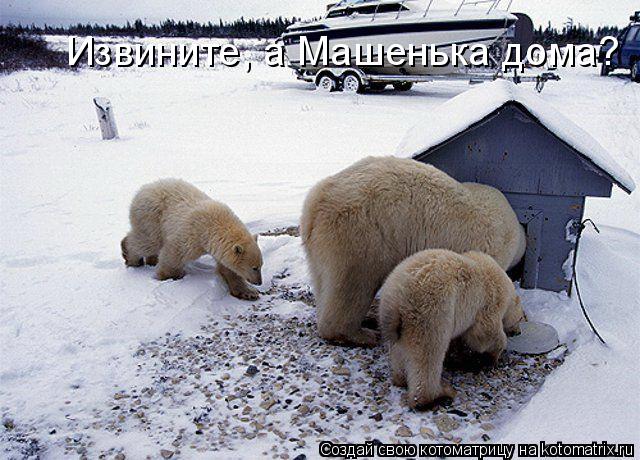 Извините, а Машенька дома?... Котоматрица: Извините, а Машенька дома?