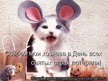 Совсем мои хозяева в День всех святых страх потеряли!... Котоматрица: Совсем мои хозяева в День всех святых страх потеряли!