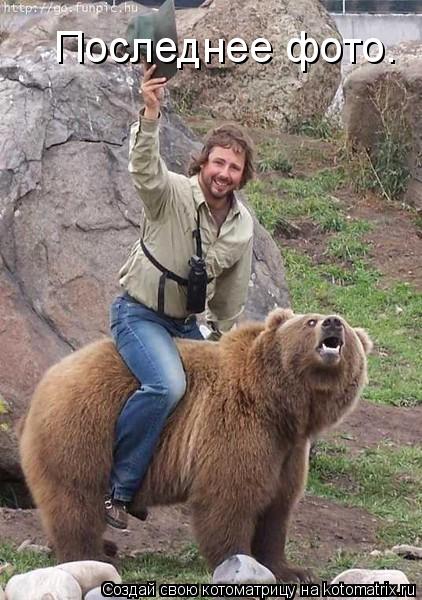 Последнее фото.... Котоматрица: Последнее фото.