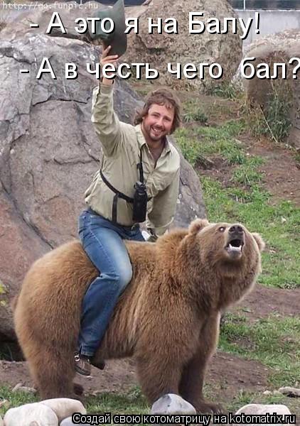 - А это я на Балу! - А в честь чего бал?... Котоматрица: - А это я на Балу! - А в честь чего бал?