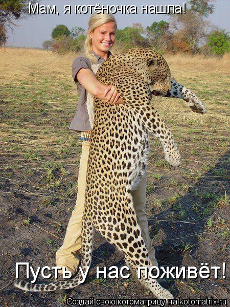 Мам, я котёночка нашла! Пусть у нас поживёт!... Котоматрица: Мам, я котёночка нашла! Пусть у нас поживёт!