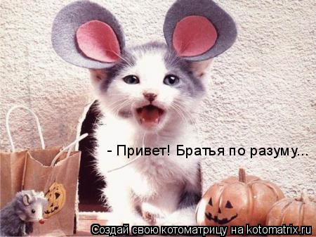 - Привет! Братья по разуму...... Котоматрица: - Привет! Братья по разуму...