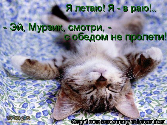 Я летаю! Я - в раю!.. - Эй, Мурзик, смотри, - с обедом не пролети!... Котоматрица: Я летаю! Я - в раю!.. - Эй, Мурзик, смотри, - с обедом не пролети!