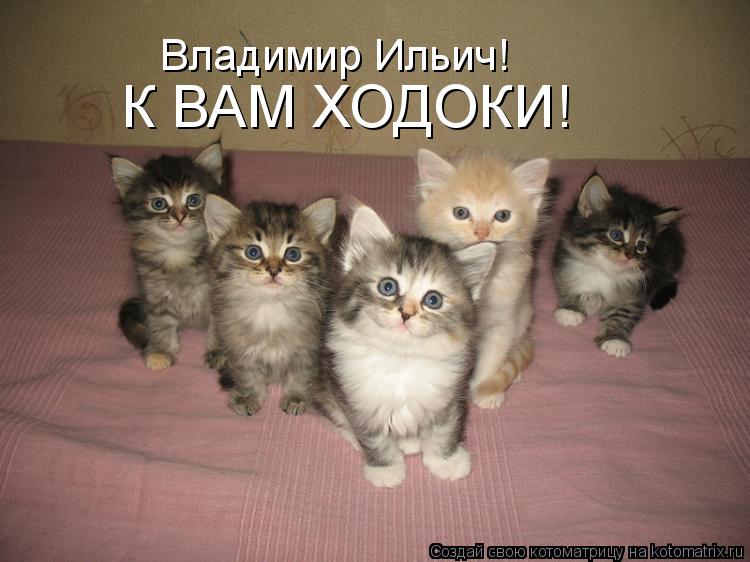 К ВАМ ХОДОКИ! Владимир Ильич!... Котоматрица: К ВАМ ХОДОКИ! Владимир Ильич!