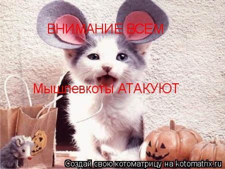 Котоматрица: ВНИМАНИЕ ВСЕМ Мышлевкоты АТАКУЮТ