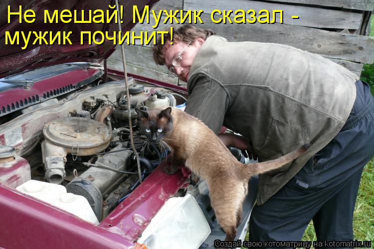 Не мешай! Мужик сказал - мужик починит!... Котоматрица: Не мешай! Мужик сказал - мужик починит!