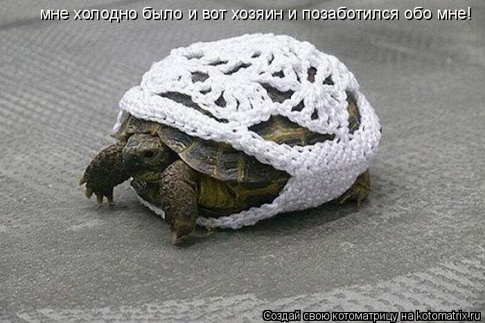 -,.. -,.. мне холодно было и вот хозяин и позаботился обо мне!... Котоматрица: -,.. -,.. мне холодно было и вот хозяин и позаботился обо мне!