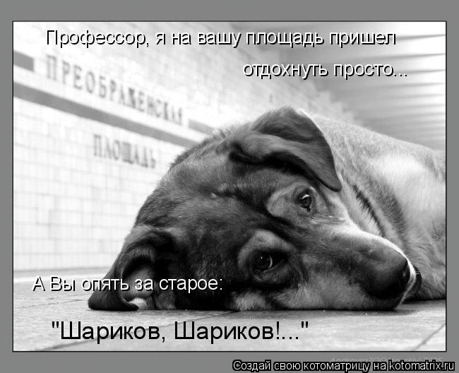 отдохнуть просто... "Шариков, Шариков!..." Профессор, я на вашу площадь пришел А Вы опять за старое:... Котоматрица: отдохнуть просто... "Шариков, Шариков!..." Профессор, я на вашу площадь пришел А Вы опять за старое: