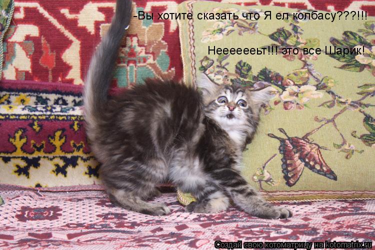 -Вы хотите сказать что Я ел колбасу???!!! Нееееееьт!!! это все Шарик!... Котоматрица: -Вы хотите сказать что Я ел колбасу???!!! Нееееееьт!!! это все Шарик!