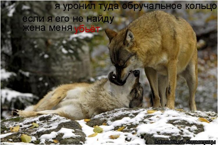 я уронил туда обручальное кольцо если я его не найду жена меня убьёт... Котоматрица: я уронил туда обручальное кольцо если я его не найду жена меня убьёт
