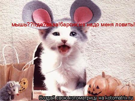 мышь??!где?аааа!барсик,не надо меня ловить!... Котоматрица: мышь??!где?аааа!барсик,не надо меня ловить!