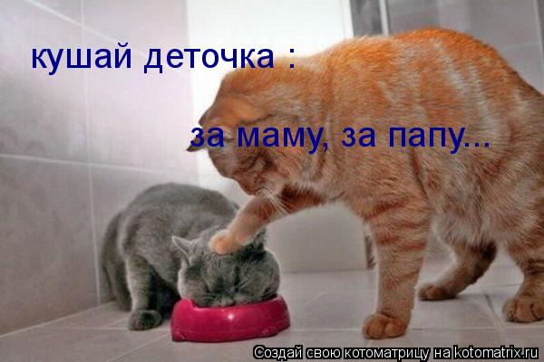 кушай деточка : за маму, за папу...... Котоматрица: кушай деточка : за маму, за папу...