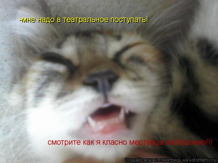 -мне надо в театральное поступать! смотрите как я класно мертвеца изображаю!!!... Котоматрица: -мне надо в театральное поступать! смотрите как я класно мертвеца изображаю!!!