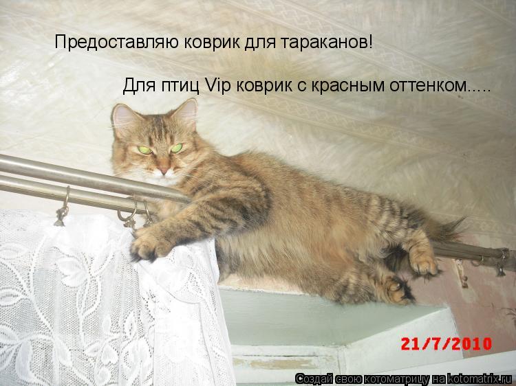 Предоставляю коврик для тараканов! Для птиц Vip коврик с красным оттенком........ Котоматрица: Предоставляю коврик для тараканов! Для птиц Vip коврик с красным оттенком.....
