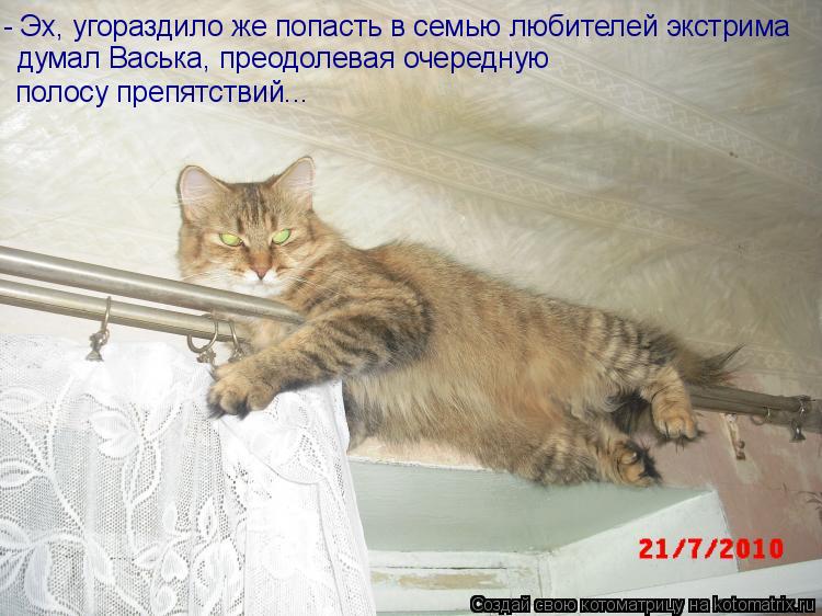 - Эх, угораздило же попасть в семью любителей экстрима думал Васька, преодолевая очередную полосу пре... Котоматрица: - Эх, угораздило же попасть в семью любителей экстрима думал Васька, преодолевая очередную полосу препятствий...