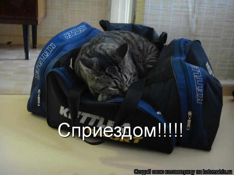 Сприездом!!!!!... Котоматрица: Сприездом!!!!!