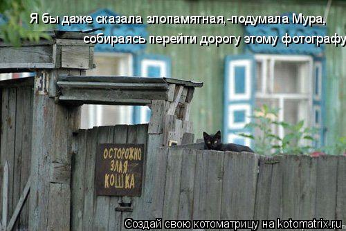 Я бы даже сказала злопамятная,-подумала Мура, собираясь перейти дорогу этому фотографу... Котоматрица: Я бы даже сказала злопамятная,-подумала Мура, собираясь перейти дорогу этому фотографу
