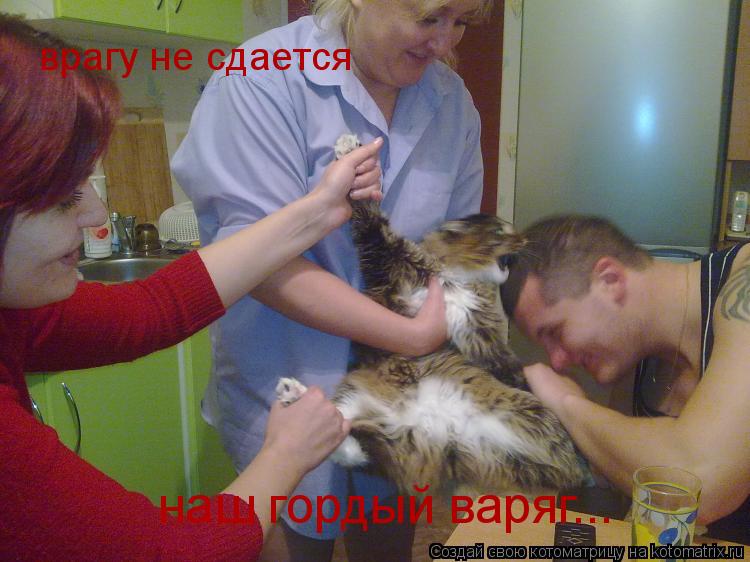 врагу не сдается наш гордый варяг...... Котоматрица: врагу не сдается наш гордый варяг...
